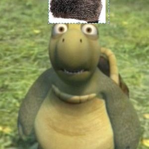 Meet your Posher, Eli